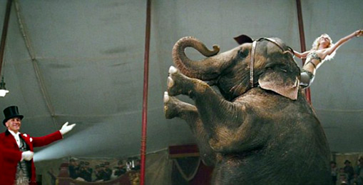 water-for-elephants-movie-509x259 water-for-elephants---Fox