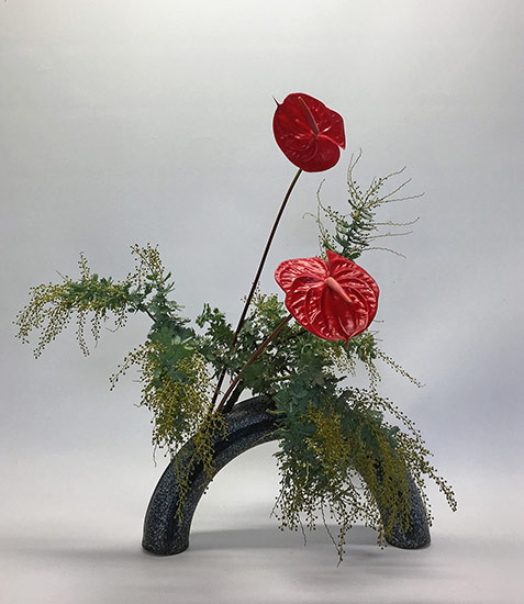 Wattle-and-Anthurium---2016-Pat-Mackie Wattle-and-Anthurium---2016-Pat's-Ikebana