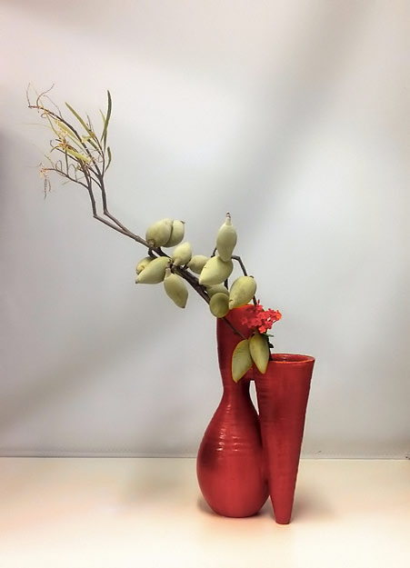 Pats-ikebana-Woody-Pear-and-Ixora-Pats-Ikebana-2016 Woody-Pear-and-Ixora-Pats-Ikebana-2016 Pat Mackie ikebana